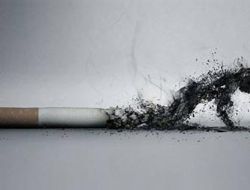 16 Milyon Ki�i Sigara Tiryakisi