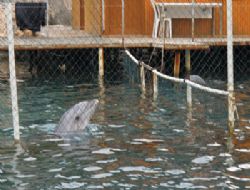 Facebook'taki Foto�raflar Delil Oldu