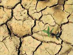 T�rkiye'yi Bekleyen B�y�k '�klim' Tehlikesi