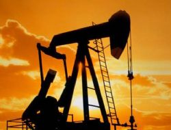 Petrol Fiyatlar� 15 Dolar D��ebilir