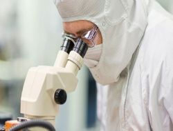 Domuz Gribi Can Ald�