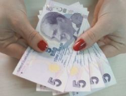 Yeni 5 TL Tedav�lde